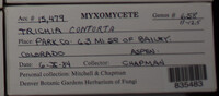 Image Associated With the Occurence